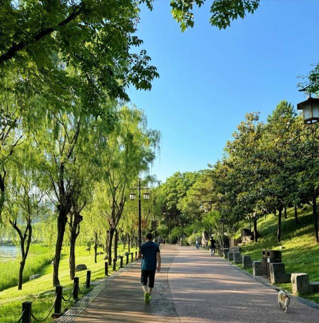 求速度和距 求速度和距